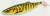 przyneta-gumowa-killer-na-sandacza-savage-gear-herring-shad- (6).jpg