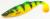 przyneta-gumowa-killer-na-sandacza-savage-gear-herring-shad-9cm- (3).jpg
