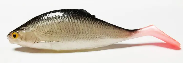 przynęta-gumowa-guma-spinningowa-jak-sewro-alpha-real-11cm-ploc.jpg