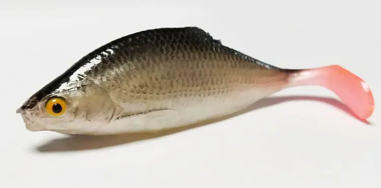przynęta-gumowa-guma-spinningowa-jak-sewro-alpha-real-11cm-ploc-2.jpg