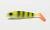 przynęta-gumowa-guma-spinningowa-jak-sewro-alpha-real-5cm-okon-1.jpg