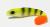przynęta-gumowa-guma-spinningowa-jak-sewro-alpha-real-5cm-okon-3.jpg