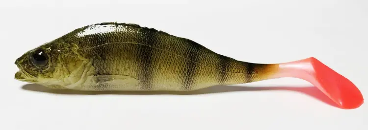 przynęta-gumowa-guma-spinningowa-jak-sewro-alpha-real-11cm-okon-ciemny-1.jpg