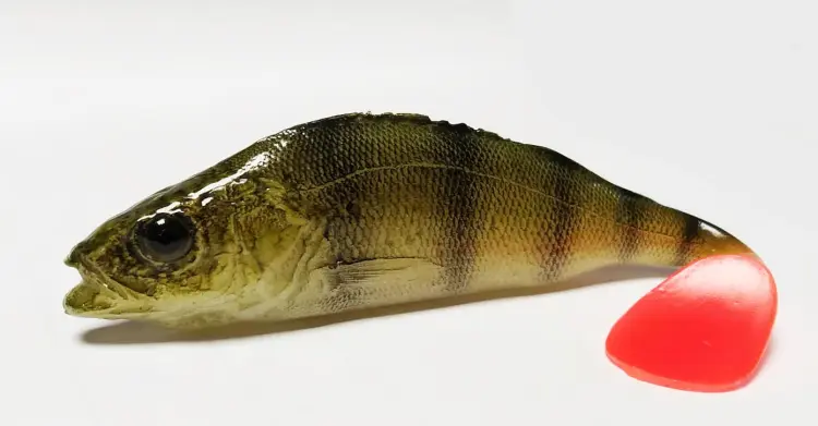 przynęta-gumowa-guma-spinningowa-jak-sewro-alpha-real-11cm-okon-ciemny-2.jpg