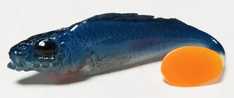 przynęta-gumowa-guma-spinningowa-jak-sewro-alpha-real-11cm-jazgarz-niebieski-2.jpg