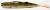 przynęta-gumowa-guma-spinningowa-jak-sewro-alpha-real-18cm-sandacz-1.jpg