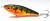 wobler-przyneta-jerk-slider-dayer-drifter-11,5-orange-perch-2.jpg