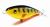 wobler-przyneta-jerk-slider-dayer-drifter-10-golden-tiger-3.jpg