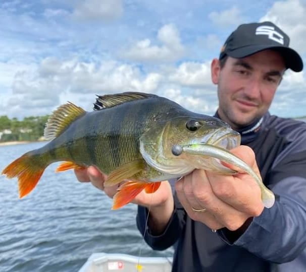 gumki-na-sandacza-savage-gear-slender-scoop-shad-7.jpg