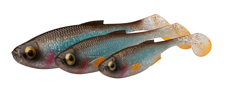 6.png