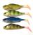 przynety-gumowe-rekodzielo-alpha-real-fish-jazgarz-okon-zestaw-gum-1.jpg