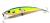 wobler-evergreen-m-1-minnow-303-2.jpg