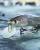 wobler-evergreen-m-1-minnow-dodatkowe-3.jpg