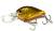 wobler-evergreen-piccolo-18-1.jpg