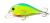 wobler-evergreen-zeruch-petit-28-1.jpg
