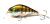 wobler-evergreen-zeruch-petit-50-1.jpg