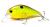 wobler-evergreen-zeruch-petit-361-1.jpg