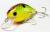 wobler-evergreen-zeruch-petit-361-2.jpg