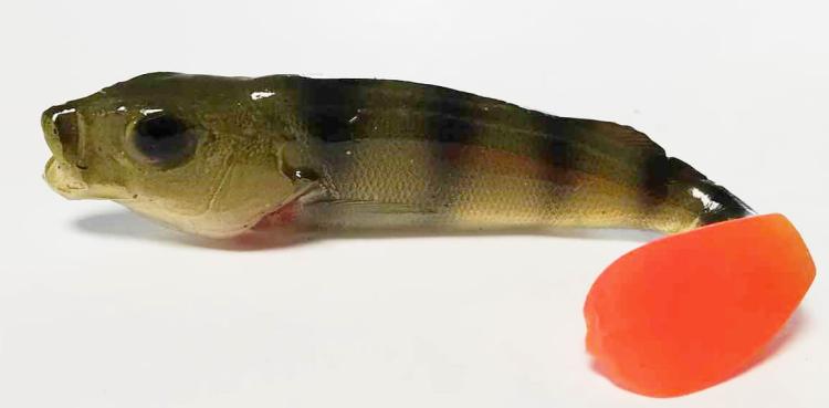 przynęta-gumowa-guma-spinningowa-jak-sewro-alpha-real-7cm-okon-ciemny-2.jpg