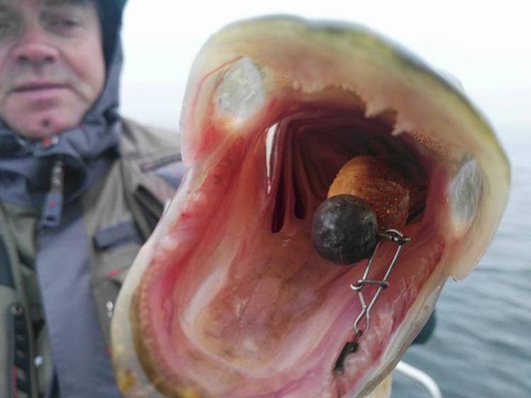 jazgarz-7cm-zestaw-3-1 (1).jpg