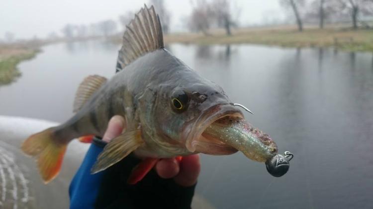 jazgarz-7cm-zestaw-3-1 (2).jpg