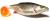 przynęta-gumowa-guma-spinningowa-jak-sewro-alpha-real-16,5cm-ploc-szara-2.jpg