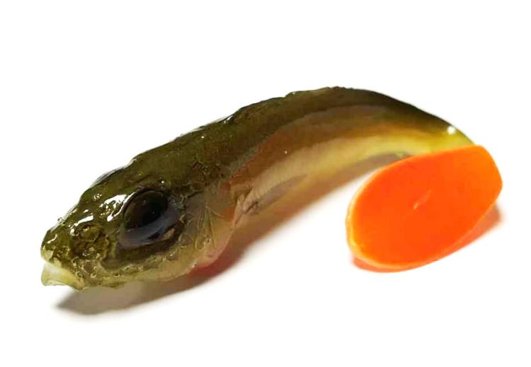 przynęta-gumowa-guma-spinningowa-jak-sewro-alpha-real-7cm-jazgarz-zielony-2.jpg