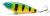 wobler-przyneta-jerk-slider-dayer-drifter-10-fluo-tiger-black-2.jpg