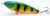 wobler-przyneta-jerk-slider-dayer-drifter-11,5-fluo-tiger-black-2.jpg
