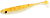 rippa-virus-removebg-preview.png