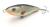 wobler-przyneta-jerk-slider-dayer-drifter-10-dd11-bleak-2.jpg