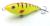 wobler-przyneta-jerk-slider-dayer-drifter-10-dd16-golden-tiger-2.jpg