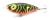 wobler-przyneta-jerk-slider-dayer-drifter-8cm-dd17-jungle-2.jpg