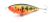 wobler-przyneta-jerk-slider-dayer-drifter-8cm-dd20-2.jpg
