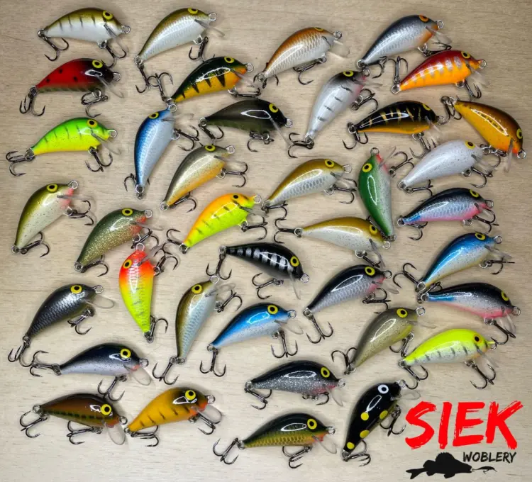 woblerek-siek-bzyk5.JPG