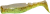 4-removebg-preview.png