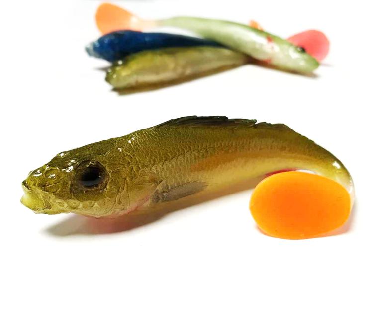 przynety-gumowe-rekodzielo-alpha-real-fish-jazgarz-okon-zestaw-gum-3.jpg