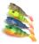 okon-7cm-nieuzbrojone-przynety-gumowe-rekodzielo-alpha-real-fish-jazgarz-okon-zestaw-gum-2.jpg