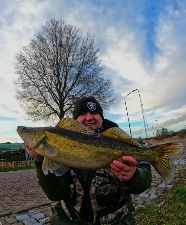 przynety-gumowe-rekodzielo-alpha-real-fish-jazgarz-okon-zestaw-gum-9.jpg