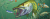 Banner_Szczupak.png