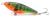wobler-przyneta-jerk-slider-dayer-drifter-10cm-green-zebra (2).jpg
