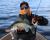 zestaw-gum-na-sandacza-savage-gear-t-tail-7,5-cm-uzbrojone-8.jpg