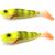 przynęta-gumowa-guma-spinningowa-jak-sewro-alpha-real-7cm-okon-zolta-fluo.jpg