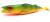 przynęta-gumowa-guma-spinningowa-jak-sewro-alpha-real-18cm-sandacz-fluo (2).jpg