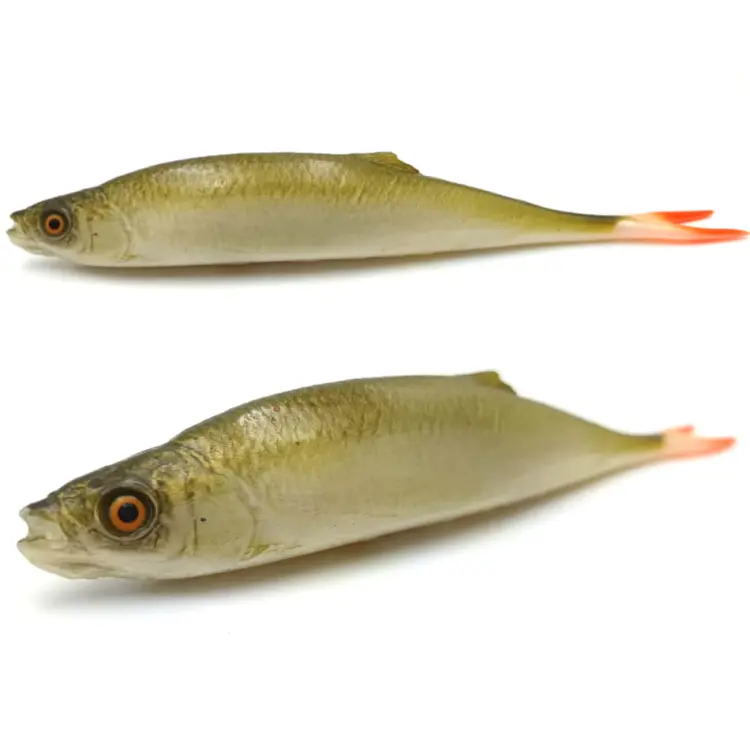 przynęta-gumowa-guma-spinningowa-jak-sewro-alpha-real-21cm-ukleja-vertical-oliwkowy.jpg