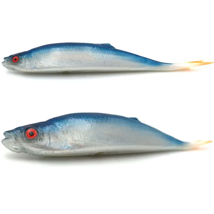 przynęta-gumowa-guma-spinningowa-jak-sewro-alpha-real-21cm-ukleja-vertical-niebieska.jpg