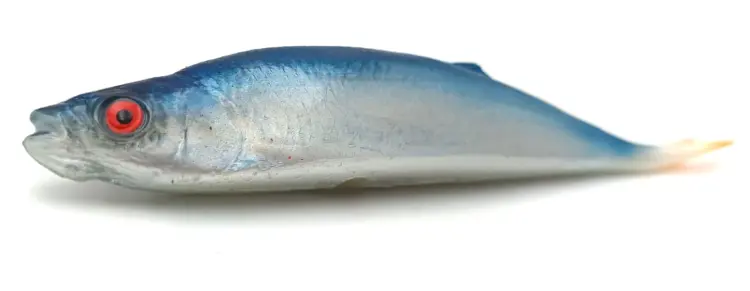 przynęta-gumowa-guma-spinningowa-jak-sewro-alpha-real-21cm-ukleja-vertical-niebieska (1).jpg
