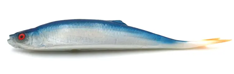 przynęta-gumowa-guma-spinningowa-jak-sewro-alpha-real-21cm-ukleja-vertical-niebieska (2).jpg