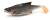 przynęta-gumowa-guma-spinningowa-jak-sewro-alpha-real-9cm-jaz-classic (1).jpg