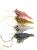savage-gear-manic-shrimp-3d-10cm-zestaw-gum-krewetki-robaki-uzbrojone (2).jpg